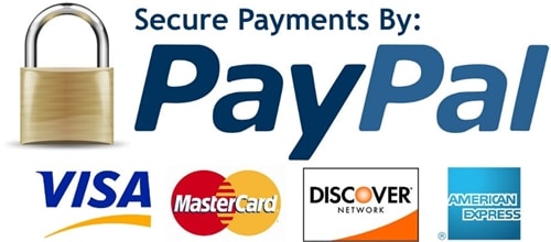Online Payment by PayPal