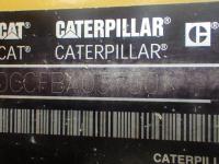 Caterpillar 